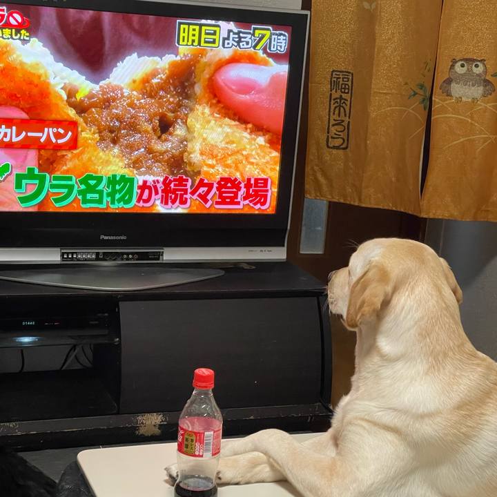 B7f93e40 bdeb 4a05 afc8 53d8d8073149 1642114060233