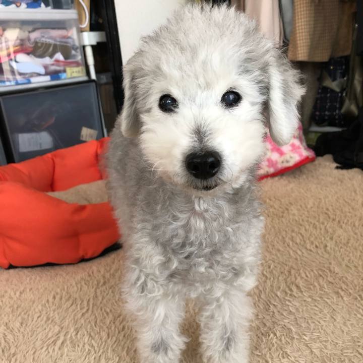 B7f94962 147d 4996 ad5e 3fb63b4e692c 1578879739141