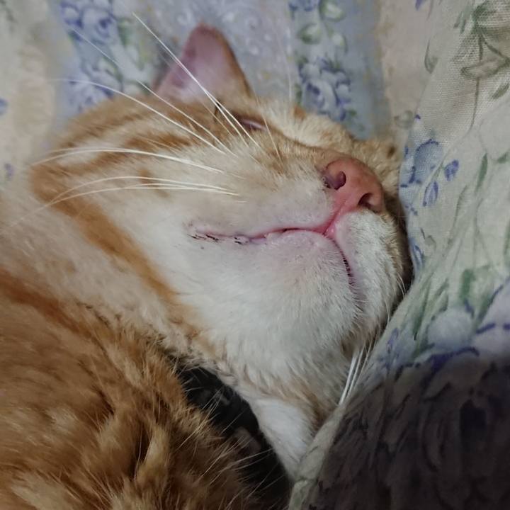 B7f9cc3e 4329 4ed9 9163 78acdb07b5e7 1654952926923