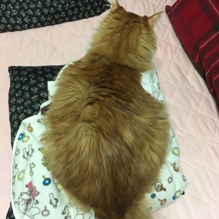 B7fa201b dd5d 45f8 bf40 a6402cb55486 1557236708938