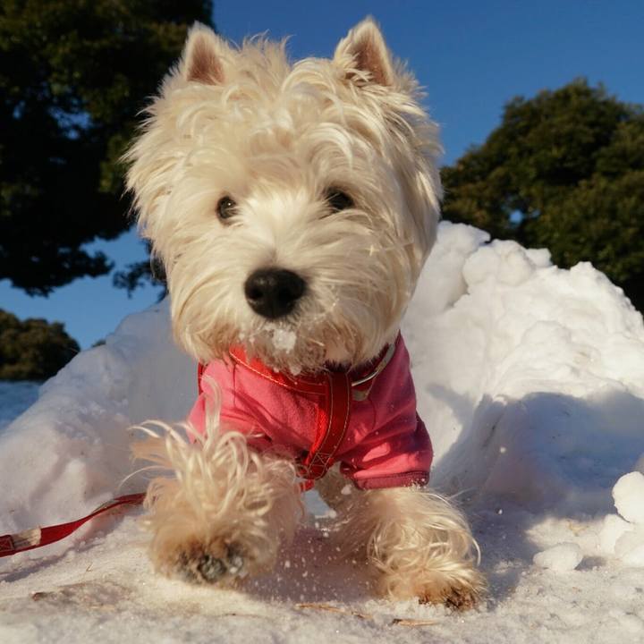 B7fa32f6 e5e7 4e21 86ca d3a6f86f252d 1516881727255