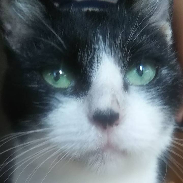 B7fa3a24 77e7 4910 9b18 585d3adb6a4d 1628151921562