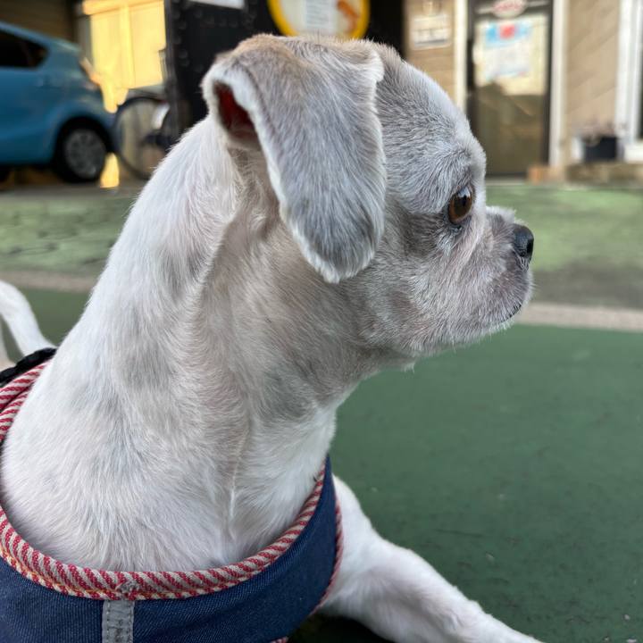 B7fa9371 bb95 41fb b309 11b22987e050 1755466685489