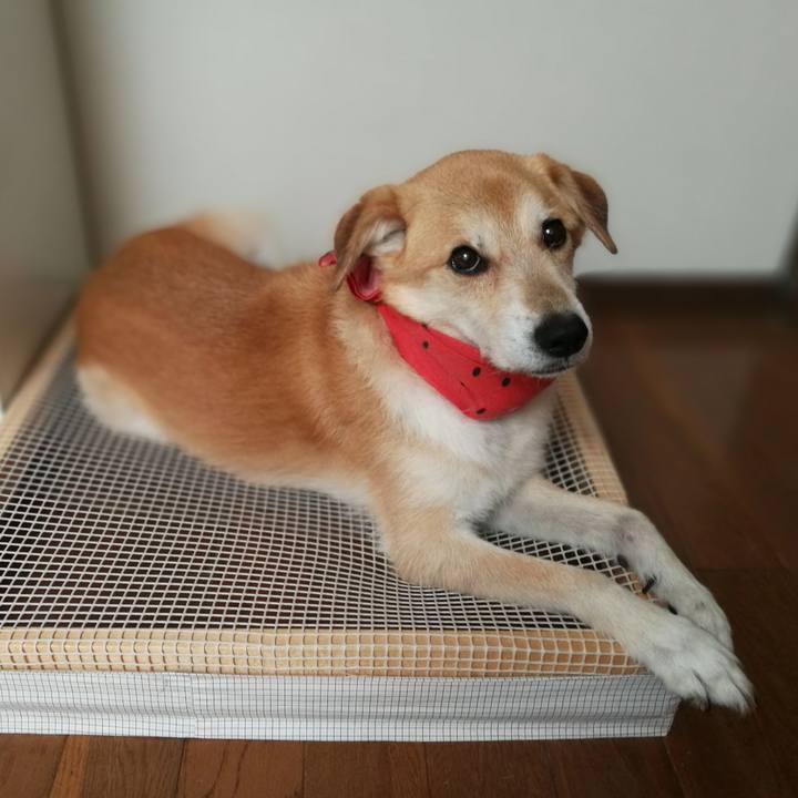 B7faf50b cb4b 4749 8cac 8f5f25473ed8 1536706381598