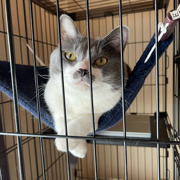 B7fafad8 3349 4c14 8966 6aacbb1e5f4c 1661226948986