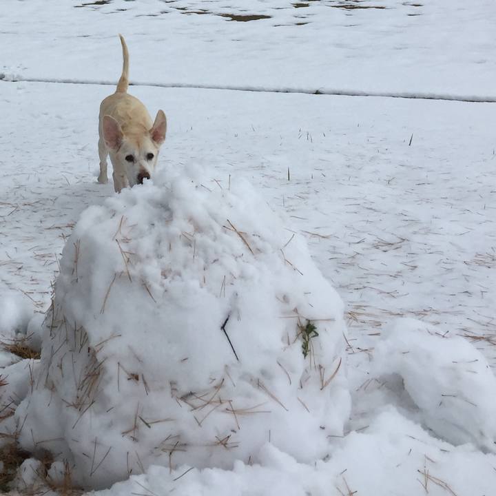 B7fb1b66 b3d8 46c5 b769 841f4d04195d 1511233707143