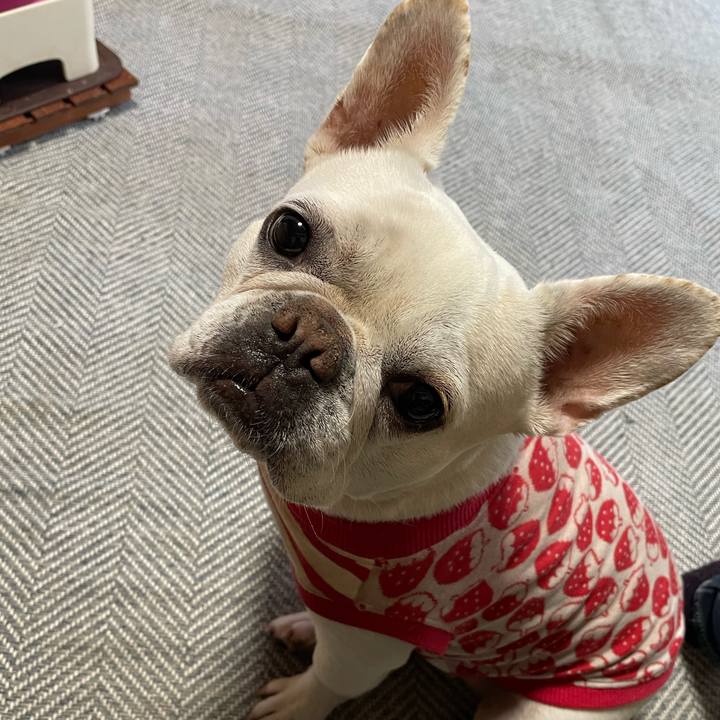 B7fb5840 d27d 41da afa3 28e32056dd87 1743808021176