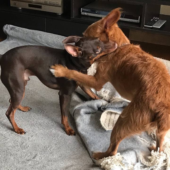 B7fb6fdc 3df5 433e b1da d29147da1c62 1571566995456