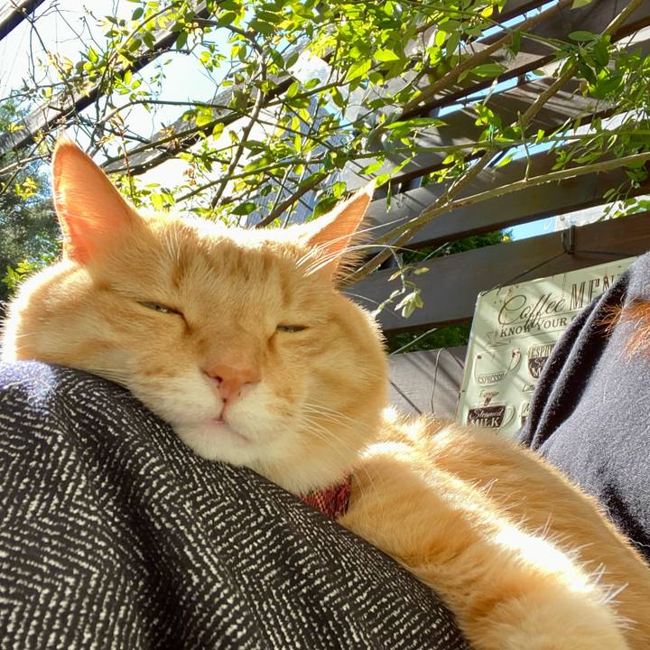 B7fb781d f186 4c47 b985 d91d0352c3b8 1666923107224