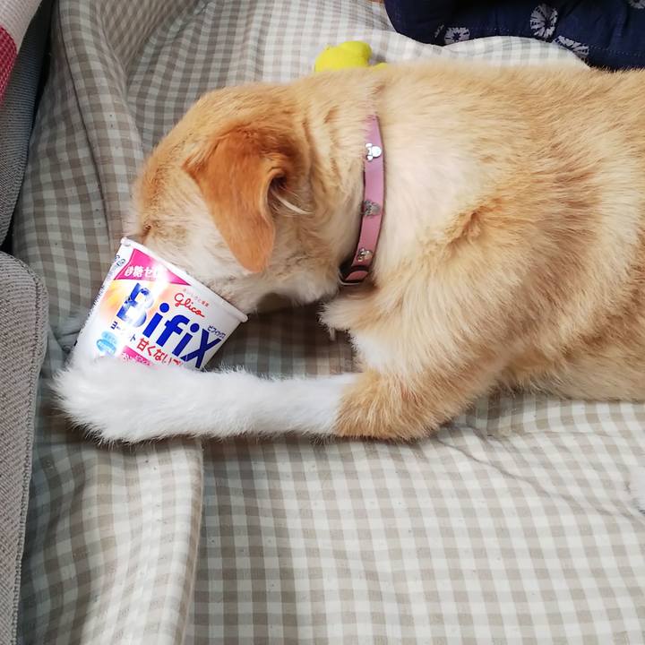 B7fbb778 3807 49eb 8090 0cd918fe37db 1554155099785