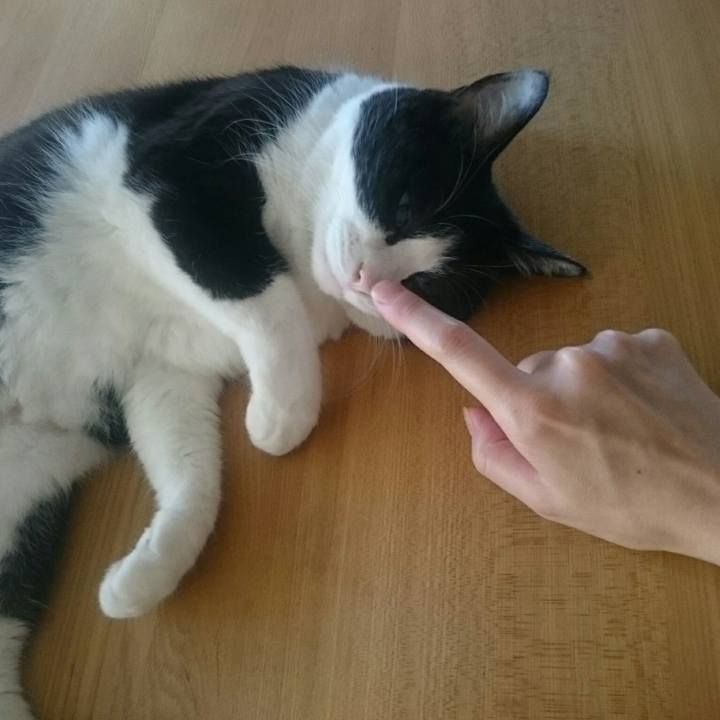 B7fbca83 8291 4acf ba1c 1b16d44e9cf2 1565230067516