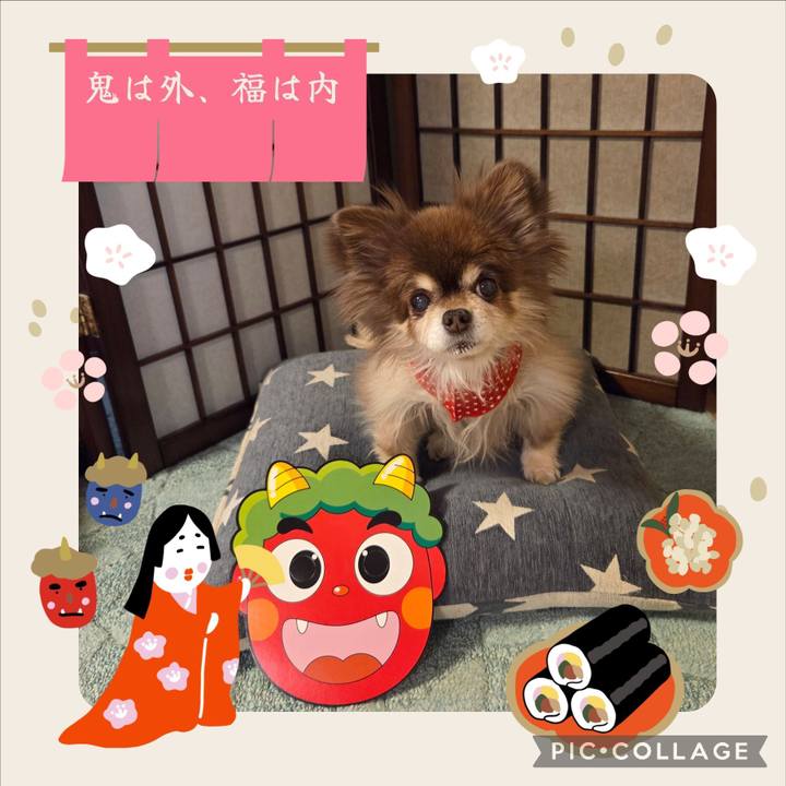 B7fbf095 c1b8 4cd7 865f fa87669beee9 1770070464839