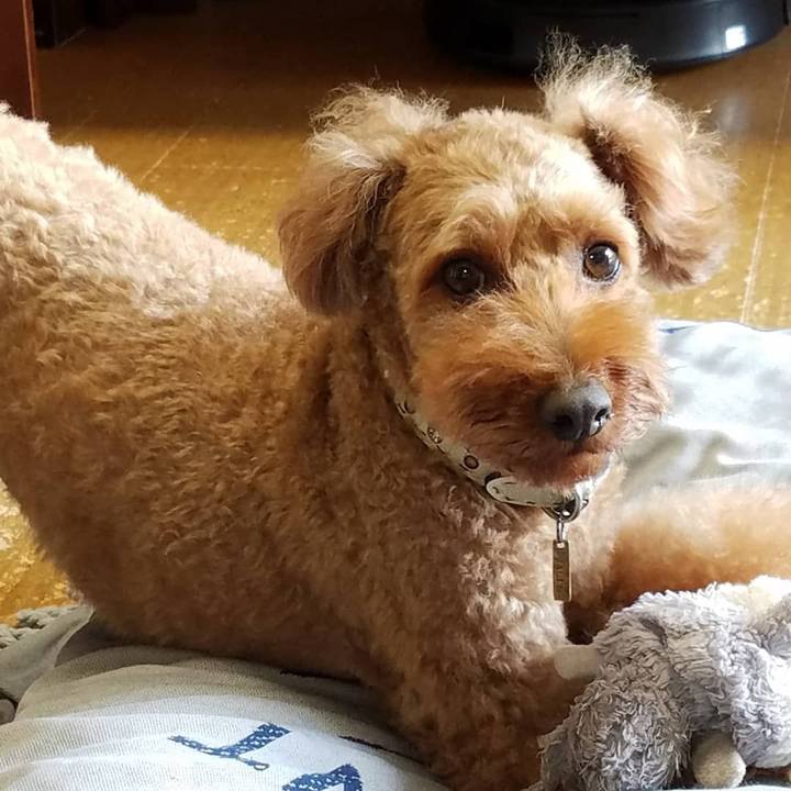 B7fc2992 1f04 4b53 b73c f7ee767afae7 1569416236082