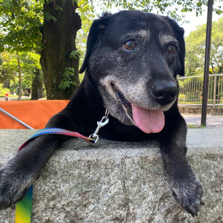 B7fc617e c625 40e6 aa1d 697638ab441f 1683201016808