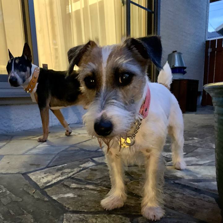 B7fc79fe d6ae 488e bf39 a72063bdb764 1604833514791