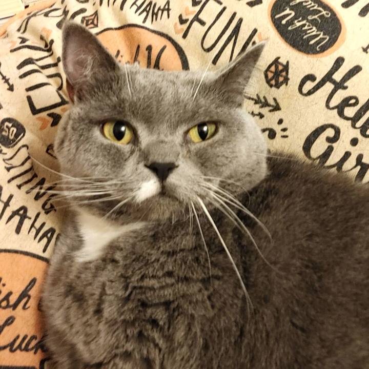 B7fcc7b6 c61a 4ffd 87e8 99f4b94ce913 1612002311760