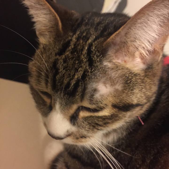 B7fd1459 b747 46b0 9826 ba2d03c3051f 1549639131210