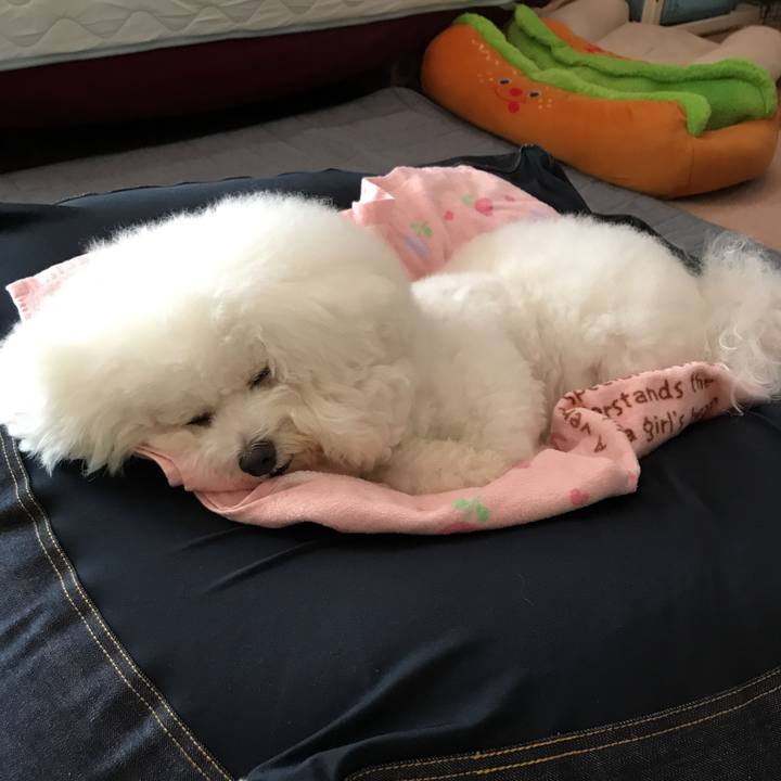 B7fd18f0 eb23 4a5c 8519 c78476e05f93 1534046177561