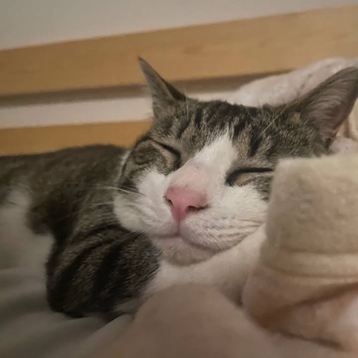 B7fd5507 25a7 40d6 8cde e55938e4b365 1741814688559