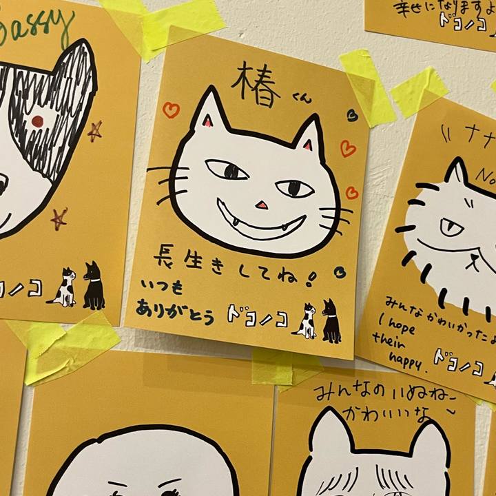 B7fd5652 d344 431e 87b7 b5ae314fae6a 1766143352800