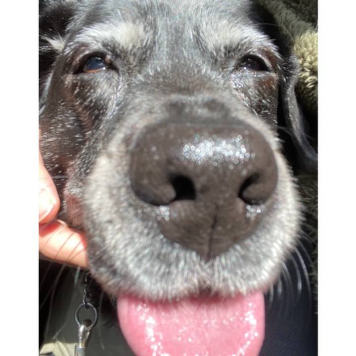 B7fd65eb edf3 4f95 90e9 4f47fbd18e99 1668422139563