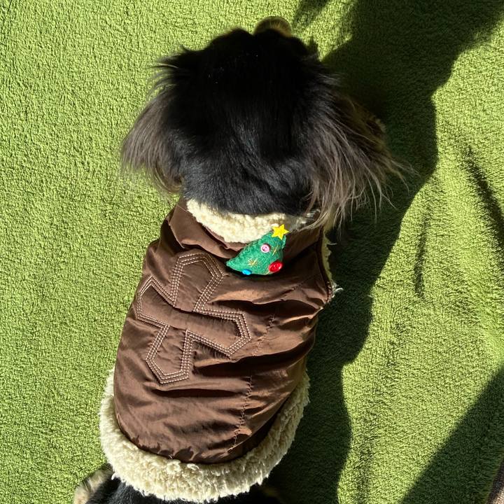 B7fd9b94 619e 4163 81d9 aab88241071e 1703476119549