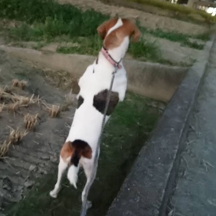 B7fdb170 48d5 4850 90fc ae96c1d298d7 1601889505031