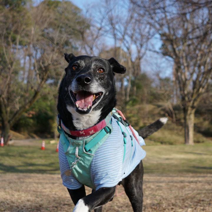 B7fdc5b0 e681 4409 8cb2 b551792a8943 1773276496715