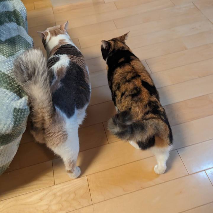 B7fdccad 3223 4a42 b2fd 73a93e3d15e0 1705635110542