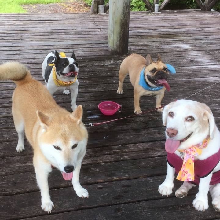 B7fdf474 a3f5 4ca8 b25e 565f7c9e7d45 1636302428607