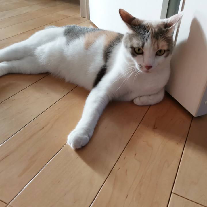 B7fdfbc1 bfc2 4e51 ab02 151a3cea87fa 1652932740892