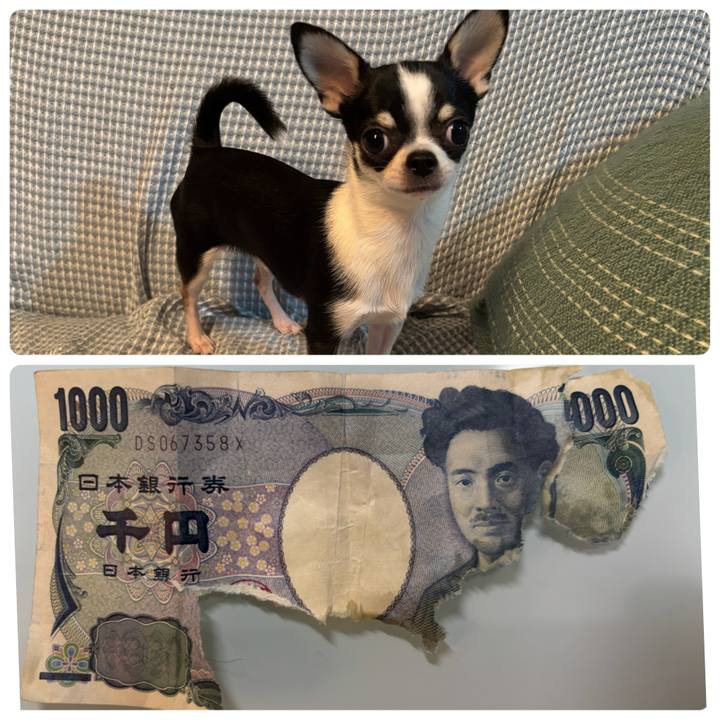 B7fe7257 9e69 4aaf 9fce f84b7f36f968 1761886078276