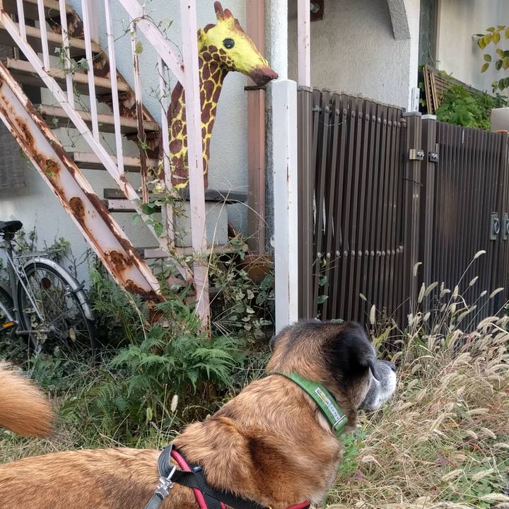 B7fe7478 b446 44e6 99f9 2a083550d28f 1510273948686