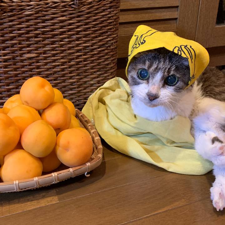 B7feb6d6 7e6c 4d7c 8cfb 5c670ce9126b 1656626167747