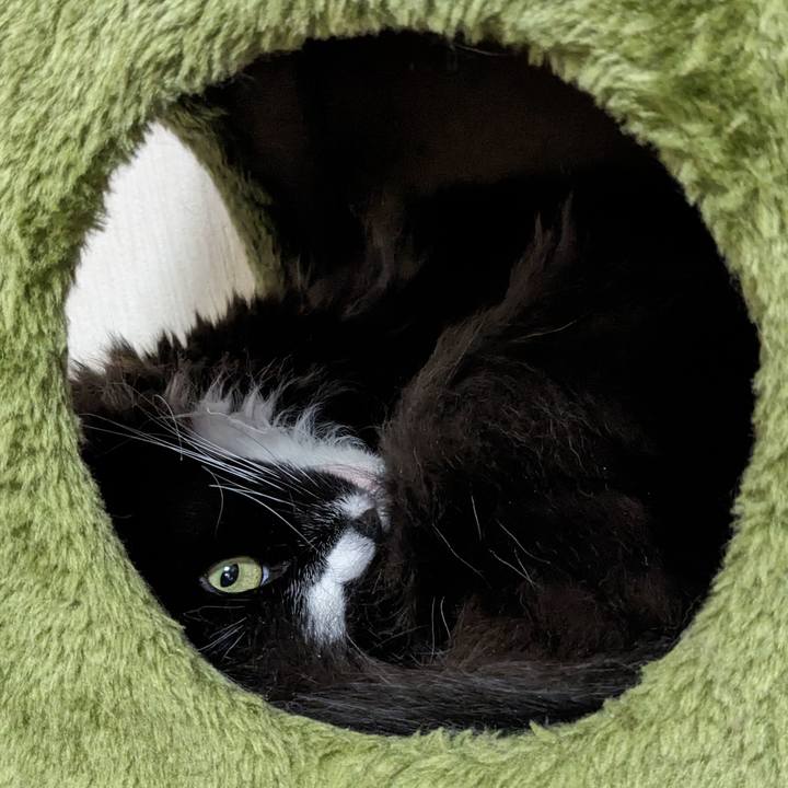 B7feb804 d6f4 47ad 915c 65816de2e153 1710423217413