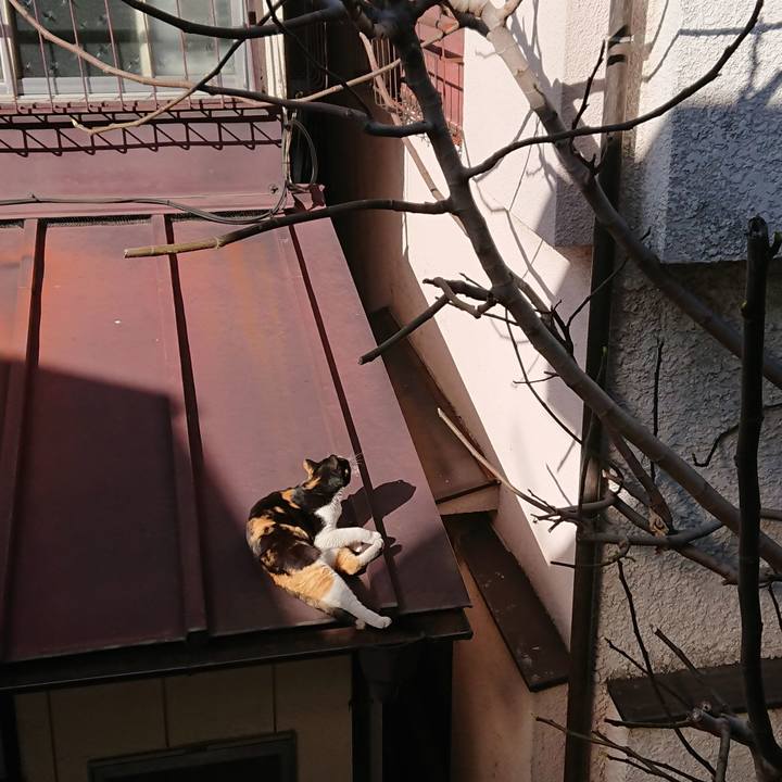 B7fed4a3 b7ec 4280 880c b924e87bcc1f 1553148113738