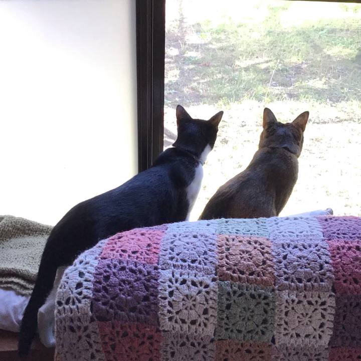 B7fed8eb b7b8 4579 9720 204488e32ca5 1635233255963