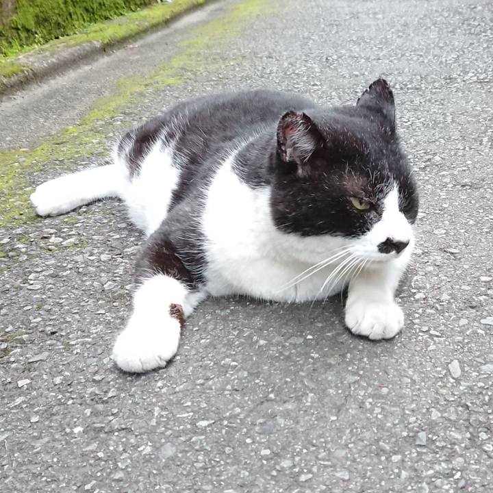 B7fede10 a971 4760 97d0 f69bf297ad89 1624956751854