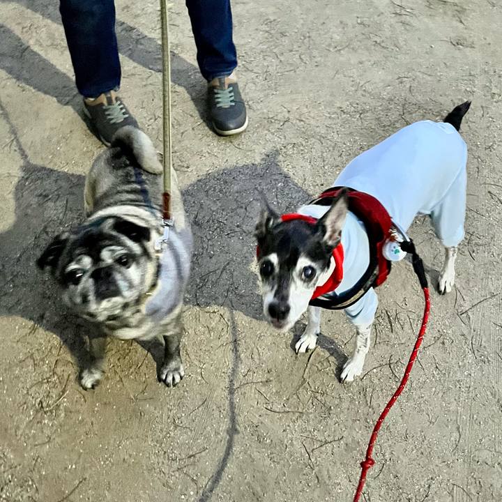 B7feefd8 a1e1 4fba bbee 6848419d4914 1655724654778