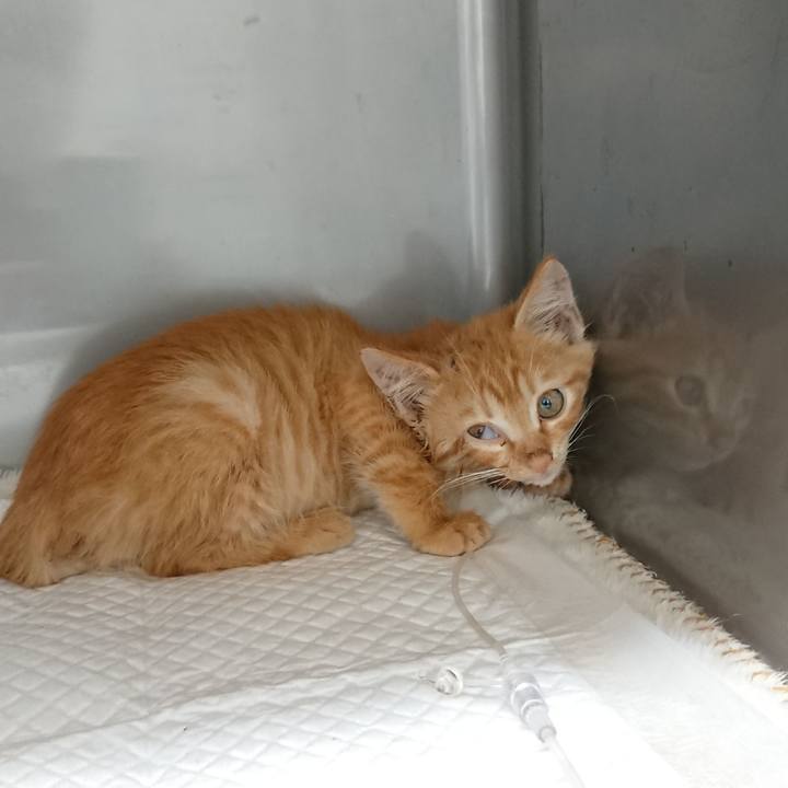 B7ff0d50 9401 4d2d b9cd 611fd64a090b 1627463600662