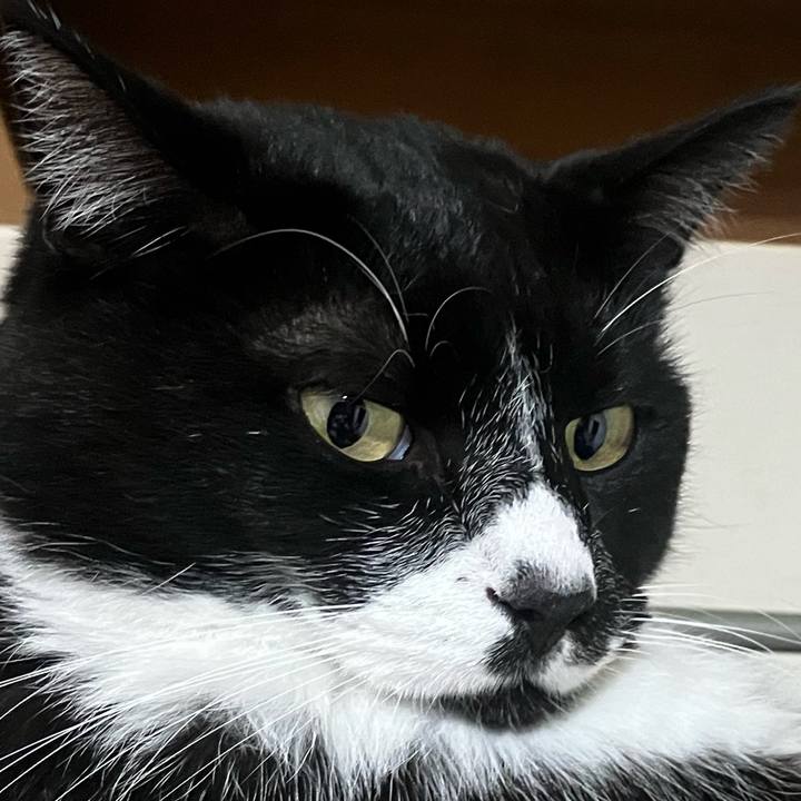 B7ff47a8 36ef 4e2c abf7 f1f89a06dcff 1698557989719