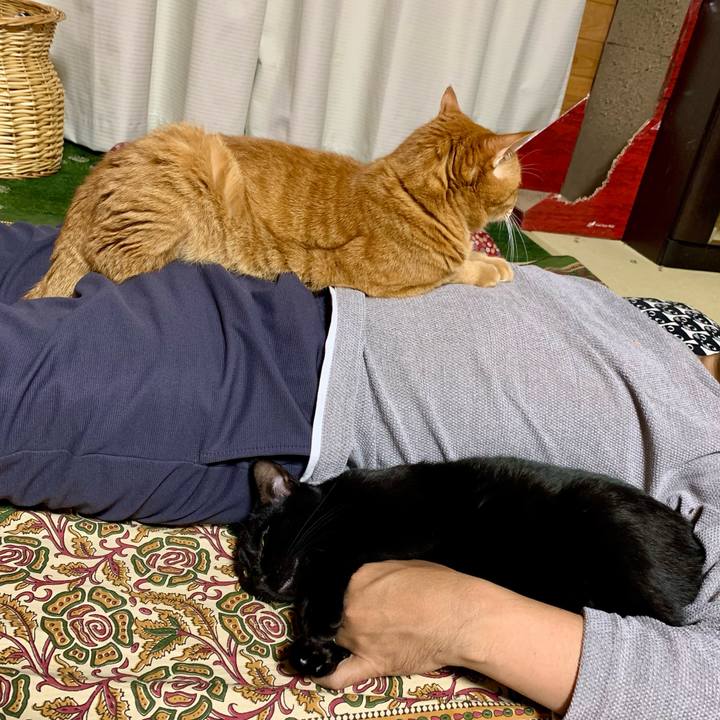 B7ff5ce3 caee 4016 97d1 cfcd6bfbca67 1669815706428