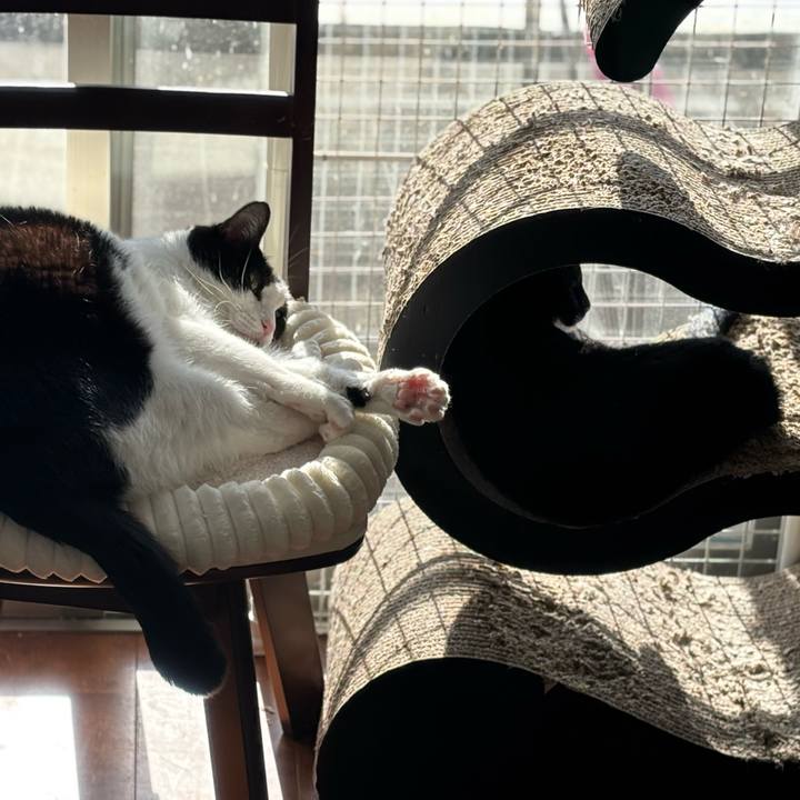 B7ff6d87 4c5f 4e44 bff6 c668ea27933e 1763688170108