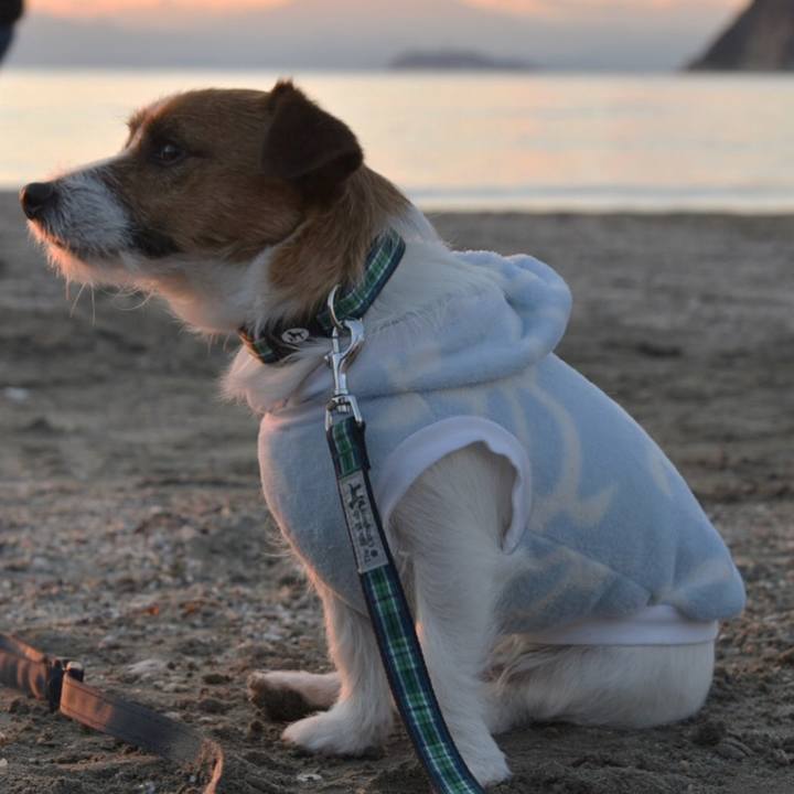 B7ff78ef 627c 43f4 a10d efcf4ad9ddb8 1515327342535