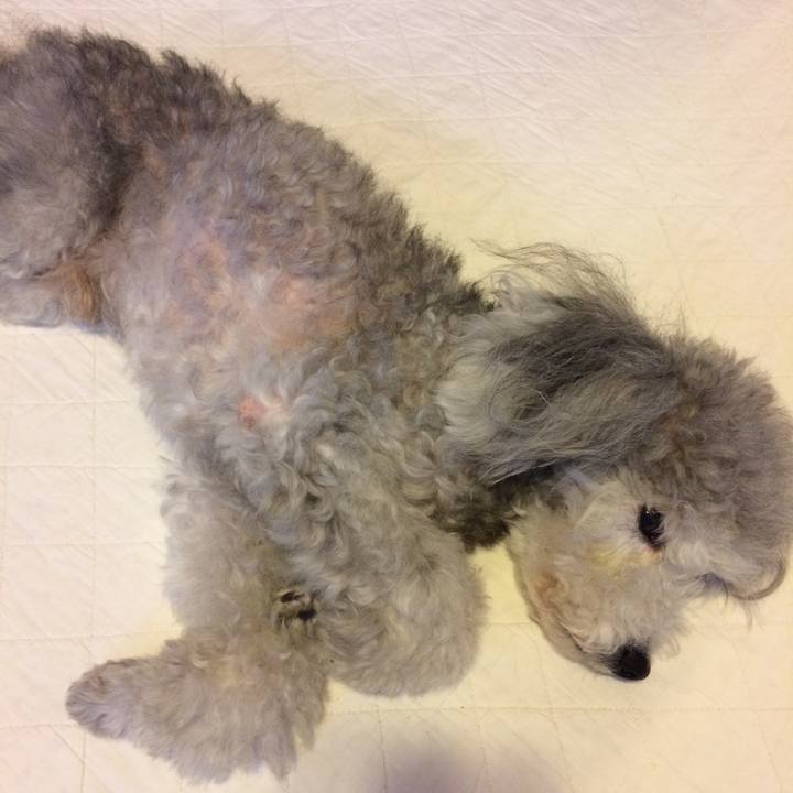 B7ffa408 2ca9 411f 81b9 5e63039f90ff 1507676979068