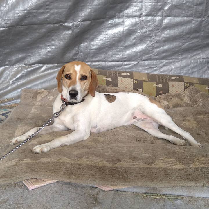 B7ffdf6a 7183 4542 8366 b12052656d3f 1625551886964