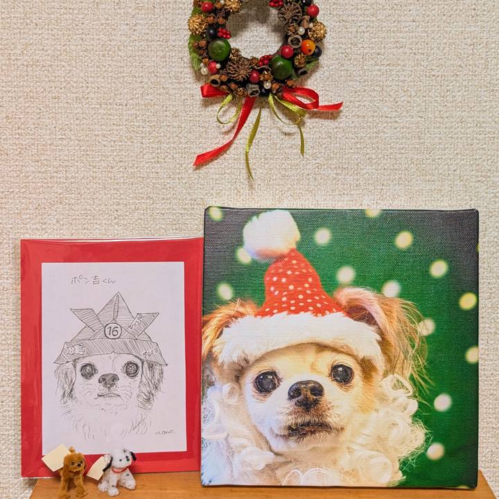 B7ffed45 6879 4574 8ece 0e63a103b6e0 1732870965394