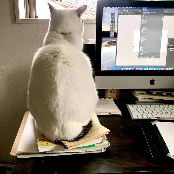 B7fff095 c5cf 4918 afd1 cbb3467d67d0 1591193729075