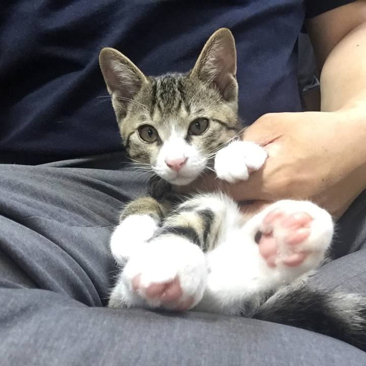 B8002a4f 2c9e 4882 b8ed d18373417ffc 1655124148360