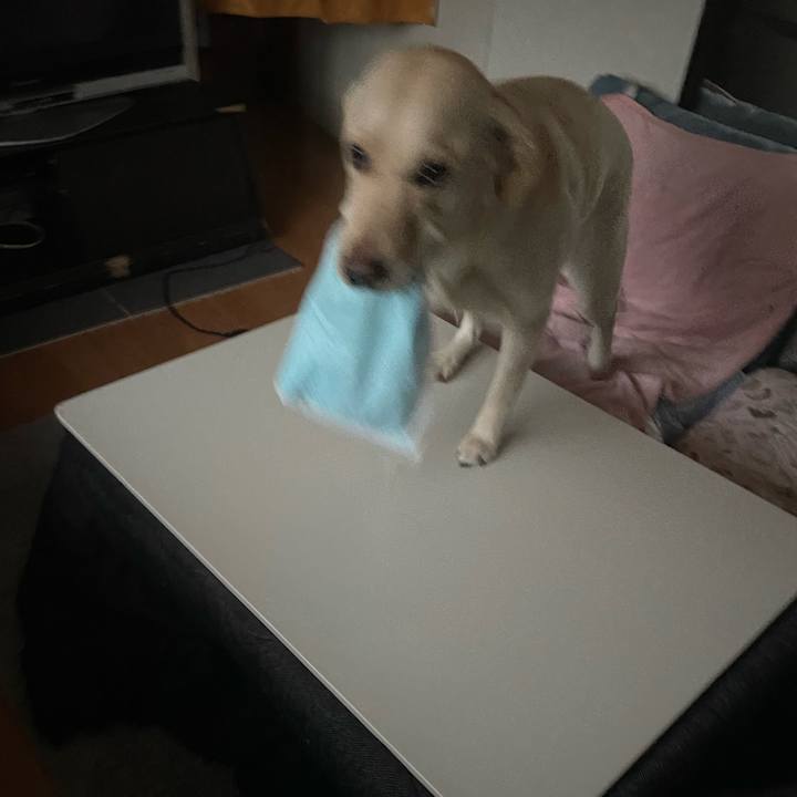 B8002b09 3442 4c22 be3d 775964023592 1645488791760